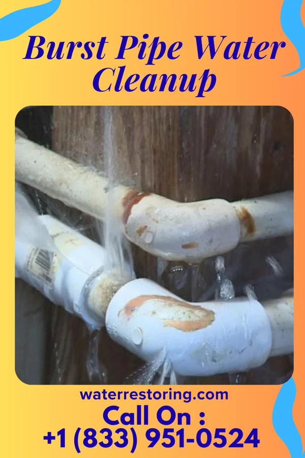 Burst Pipe Water Cleanup in Hartleton, PA
