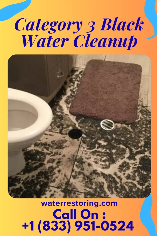 Category 3 Black Water Cleanup in Hartleton, PA