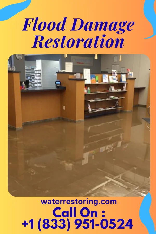 Flood Damage Restoration in Hartleton, PA