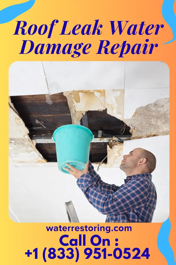 Roof Leak Water Damage Repair in Hartleton, PA