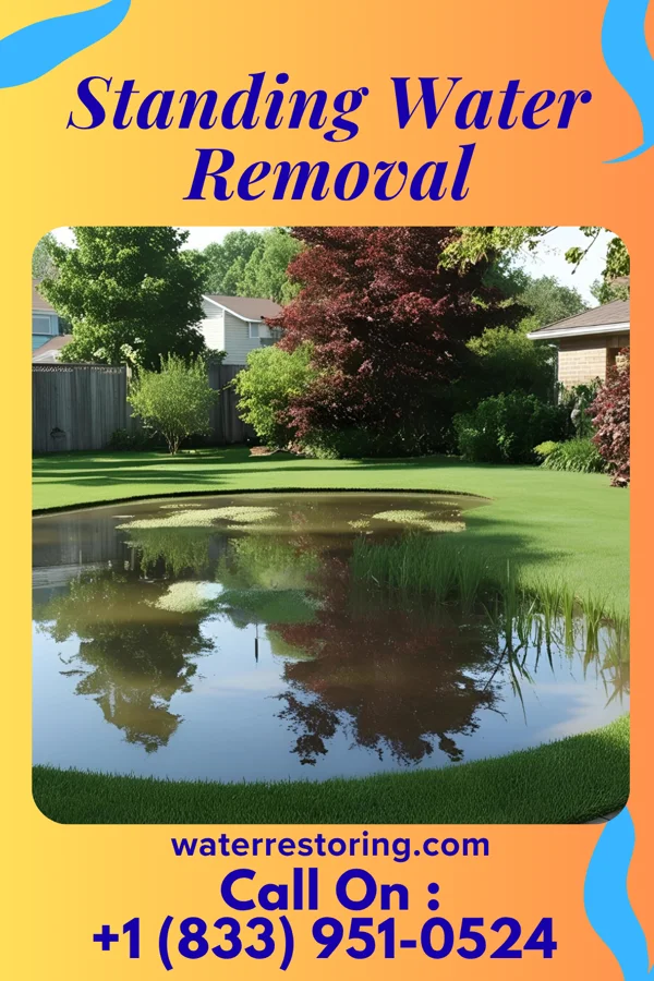 Standing Water Removal in Hartleton, PA